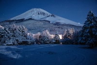 photo?id=3411&suffix=t
