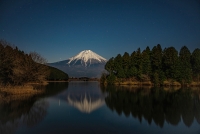 photo?id=3413&suffix=t