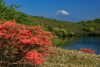 photo?id=3414&suffix=t