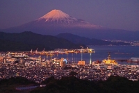 photo?id=3419&suffix=t