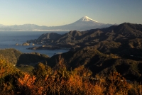 photo?id=3421&suffix=t