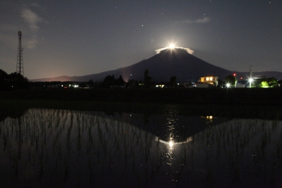 photo?id=3423&suffix=m
