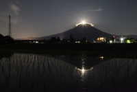 photo?id=3423&suffix=t