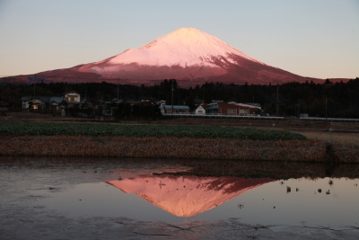 photo?id=3425&suffix=m