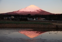 photo?id=3425&suffix=t