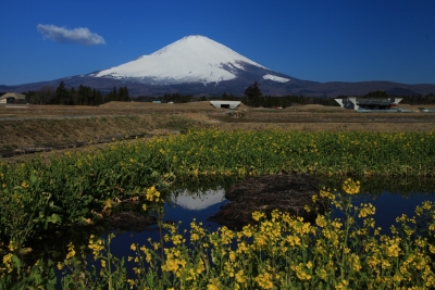 photo?id=3426&suffix=m