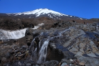 photo?id=3427&suffix=t