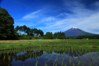 photo?id=3428&suffix=t