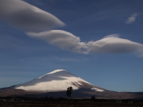 photo?id=3429&suffix=t
