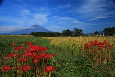 photo?id=3430&suffix=m