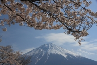 photo?id=3435&suffix=t