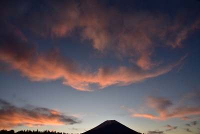photo?id=3437&suffix=m