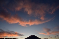 photo?id=3437&suffix=t