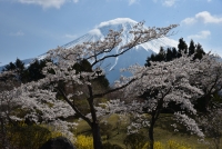 photo?id=3440&suffix=t