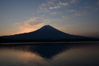 photo?id=3442&suffix=t