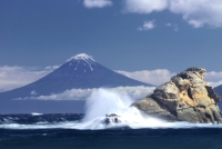 photo?id=3444&suffix=t