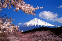photo?id=3445&suffix=t
