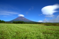 photo?id=3447&suffix=t