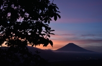 photo?id=3450&suffix=t