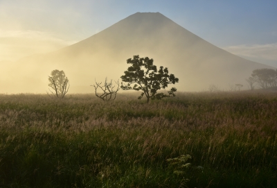 photo?id=3453&suffix=m