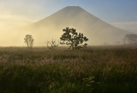photo?id=3453&suffix=t