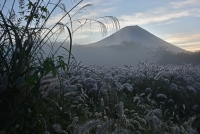 photo?id=3454&suffix=t