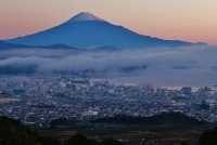 photo?id=3457&suffix=t