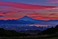 photo?id=3458&suffix=t