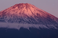 photo?id=3460&suffix=t