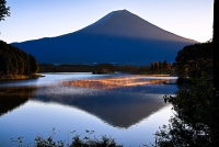 photo?id=3464&suffix=t
