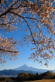 photo?id=3465&suffix=t