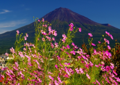 photo?id=3466&suffix=m