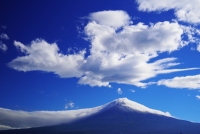 photo?id=3467&suffix=t