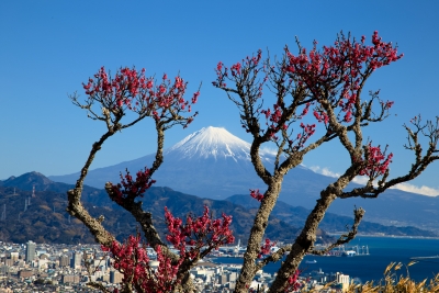 photo?id=3472&suffix=m