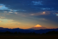 photo?id=3473&suffix=t