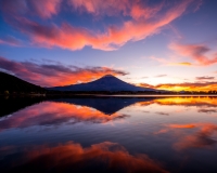 photo?id=3475&suffix=t