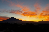 photo?id=3478&suffix=t