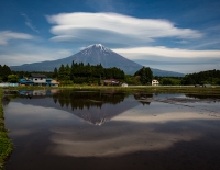 photo?id=3481&suffix=t