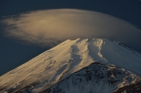 photo?id=3482&suffix=t