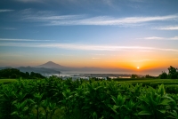 photo?id=3486&suffix=t