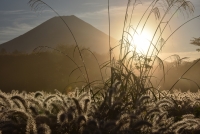 photo?id=3487&suffix=t