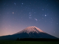photo?id=3491&suffix=t