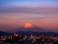 photo?id=3492&suffix=t