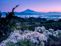photo?id=3494&suffix=t