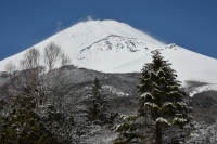 photo?id=3498&suffix=t
