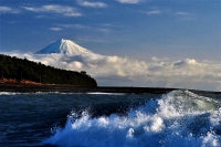 photo?id=3507&suffix=t