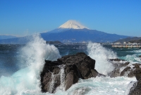 photo?id=3511&suffix=t