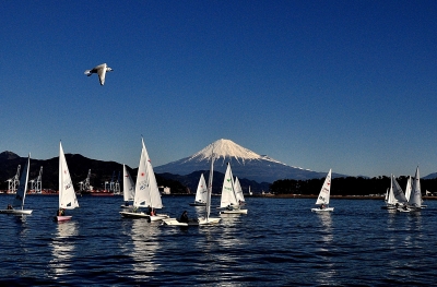 photo?id=3513&suffix=m