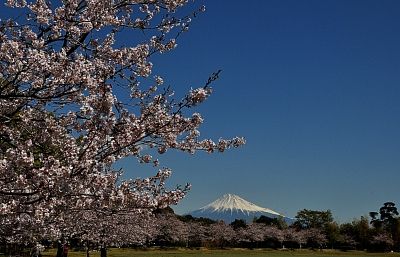 photo?id=3514&suffix=m