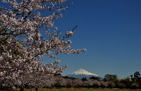 photo?id=3514&suffix=t
